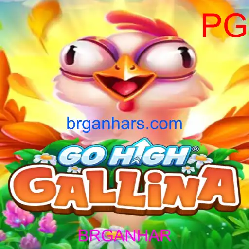 GoHighGallina